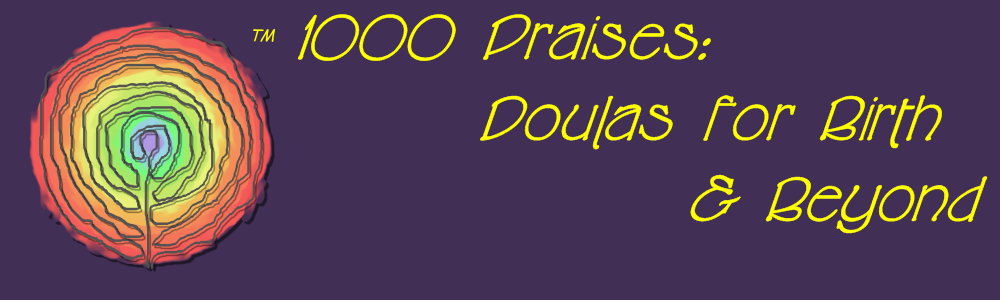 webheader03